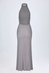 Backless Halterneck Maxi Dress in Silver