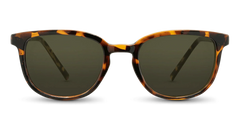 Hatteras Sunglasses