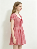 Red Gingham Ruffle V-Neck Mini Dress