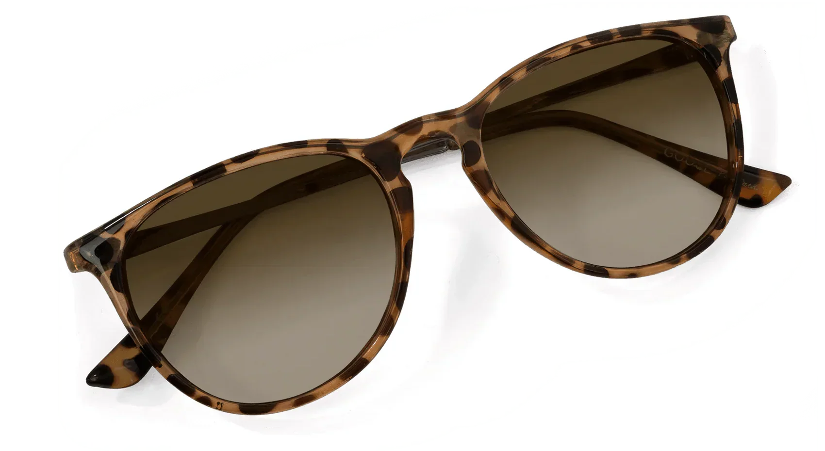 Shockoe Sunglasses