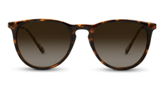 Shockoe Sunglasses